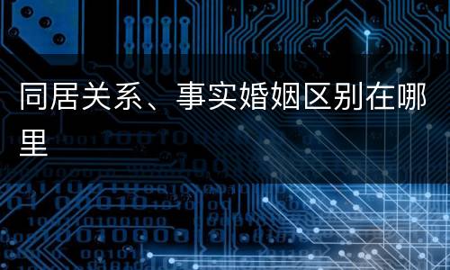 同居关系、事实婚姻区别在哪里