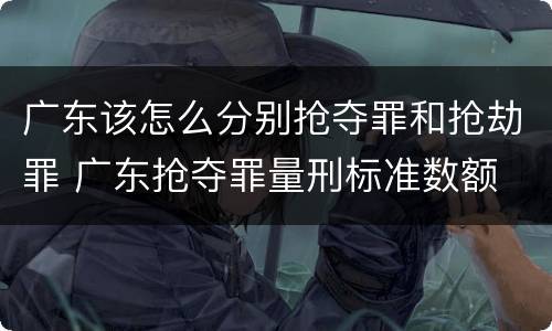 广东该怎么分别抢夺罪和抢劫罪 广东抢夺罪量刑标准数额