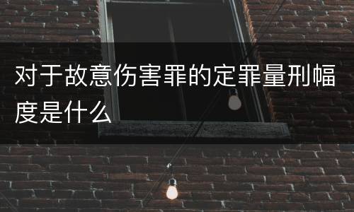 对于故意伤害罪的定罪量刑幅度是什么