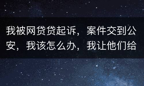 我被网贷贷起诉，案件交到公安，我该怎么办，我让他们给我的亲人道歉