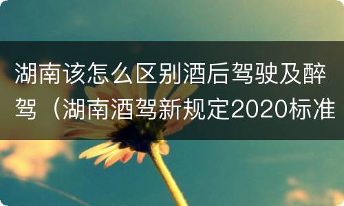 湖南该怎么区别酒后驾驶及醉驾（湖南酒驾新规定2020标准处罚）