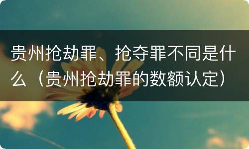 贵州抢劫罪、抢夺罪不同是什么(贵州抢劫罪的数额认定) 贵州抢劫罪、抢夺罪不同是什么(贵州抢劫罪的数额认定)