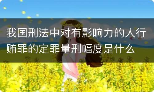 我国刑法中对有影响力的人行贿罪的定罪量刑幅度是什么
