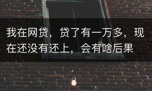 我在网贷，贷了有一万多，现在还没有还上，会有啥后果