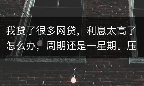 我贷了很多网贷，利息太高了怎么办，周期还是一星期。压力太大还不上了
