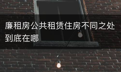 廉租房公共租赁住房不同之处到底在哪