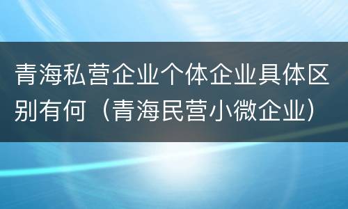 青海私营企业个体企业具体区别有何（青海民营小微企业）