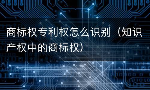 商标权专利权怎么识别（知识产权中的商标权）