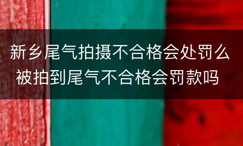 新乡尾气拍摄不合格会处罚么 被拍到尾气不合格会罚款吗