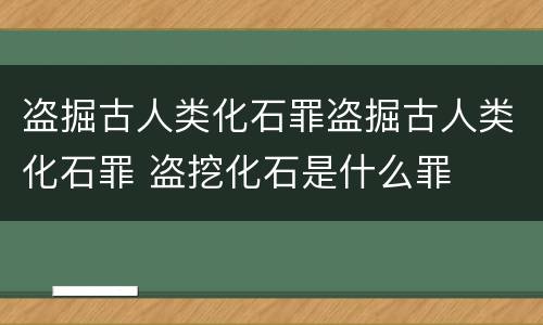 盗掘古人类化石罪盗掘古人类化石罪 盗挖化石是什么罪
