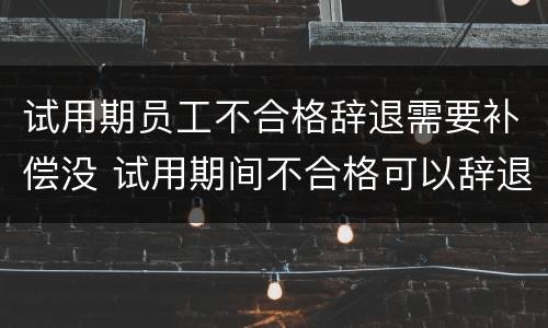 试用期员工不合格辞退需要补偿没 试用期间不合格可以辞退员工吗