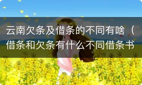 云南欠条及借条的不同有啥（借条和欠条有什么不同借条书写）