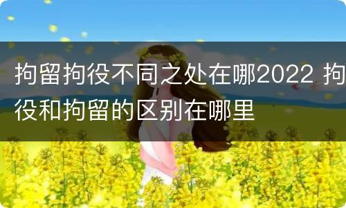 拘留拘役不同之处在哪2022 拘役和拘留的区别在哪里