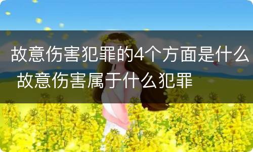 故意伤害犯罪的4个方面是什么 故意伤害属于什么犯罪