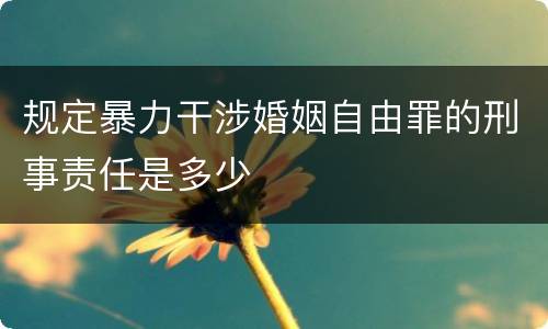 规定暴力干涉婚姻自由罪的刑事责任是多少