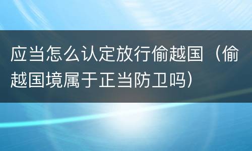 应当怎么认定放行偷越国（偷越国境属于正当防卫吗）
