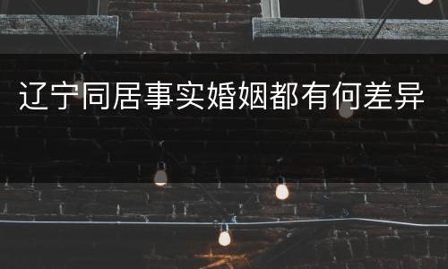 辽宁同居事实婚姻都有何差异