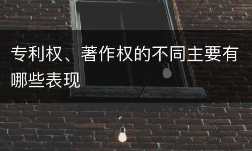 专利权、著作权的不同主要有哪些表现