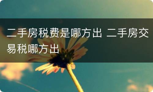 二手房税费是哪方出 二手房交易税哪方出