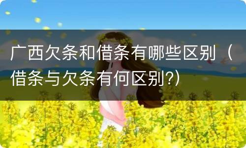 广西欠条和借条有哪些区别（借条与欠条有何区别?）