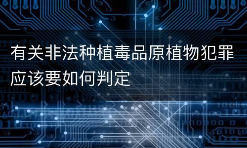 有关非法种植毒品原植物犯罪应该要如何判定