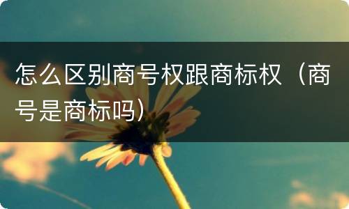 怎么区别商号权跟商标权（商号是商标吗）