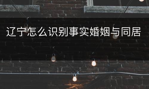 辽宁怎么识别事实婚姻与同居