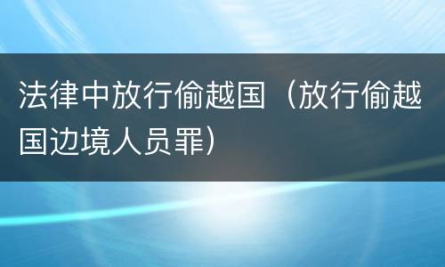 法律中放行偷越国（放行偷越国边境人员罪）