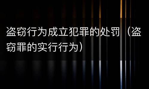盗窃行为成立犯罪的处罚（盗窃罪的实行行为）
