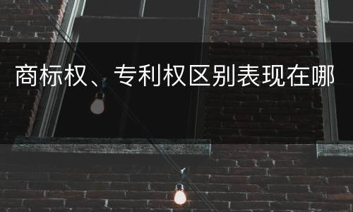 商标权、专利权区别表现在哪