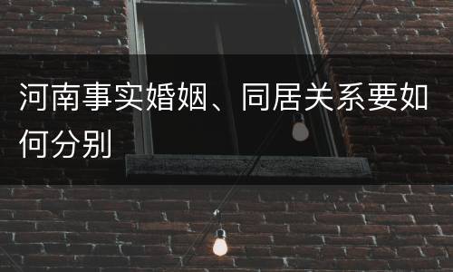 河南事实婚姻、同居关系要如何分别
