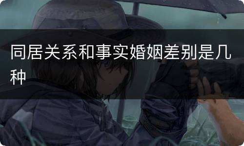 同居关系和事实婚姻差别是几种