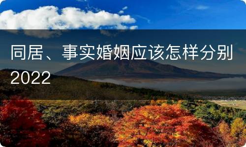 同居、事实婚姻应该怎样分别2022