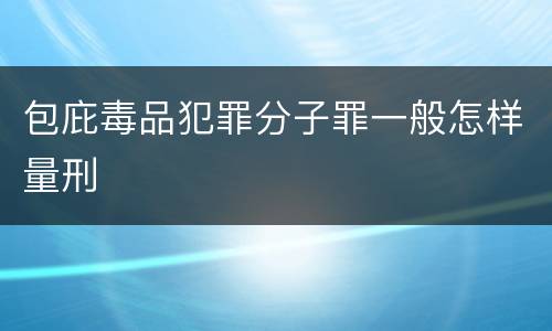 包庇毒品犯罪分子罪一般怎样量刑
