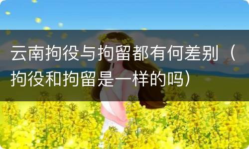 云南拘役与拘留都有何差别（拘役和拘留是一样的吗）