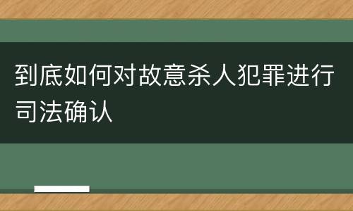 到底如何对故意杀人犯罪进行司法确认