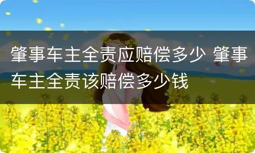 肇事车主全责应赔偿多少 肇事车主全责该赔偿多少钱
