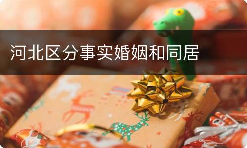 河北区分事实婚姻和同居