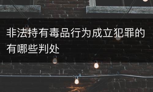 非法持有毒品行为成立犯罪的有哪些判处