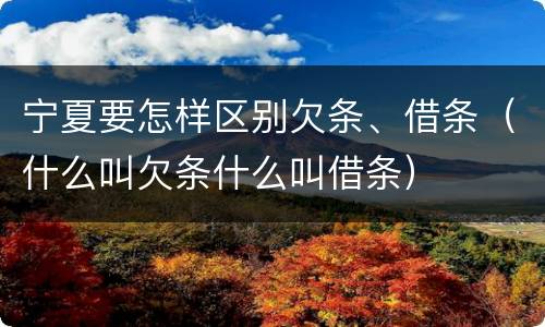 宁夏要怎样区别欠条、借条（什么叫欠条什么叫借条）