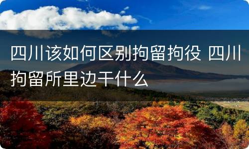 四川该如何区别拘留拘役 四川拘留所里边干什么