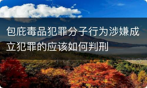 包庇毒品犯罪分子行为涉嫌成立犯罪的应该如何判刑