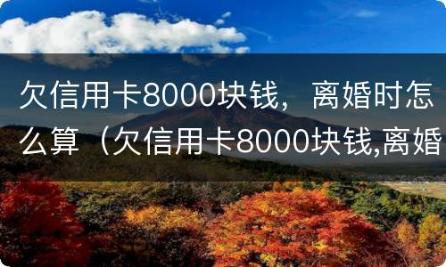 欠信用卡8000块钱，离婚时怎么算（欠信用卡8000块钱,离婚时怎么算利息）