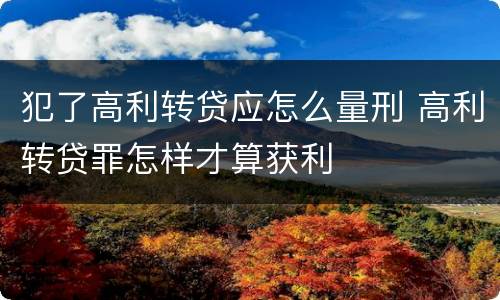 犯了高利转贷应怎么量刑 高利转贷罪怎样才算获利