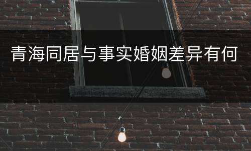 青海同居与事实婚姻差异有何