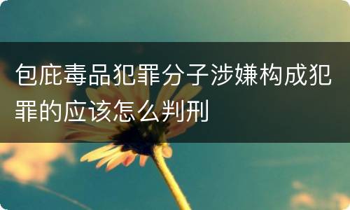 包庇毒品犯罪分子涉嫌构成犯罪的应该怎么判刑