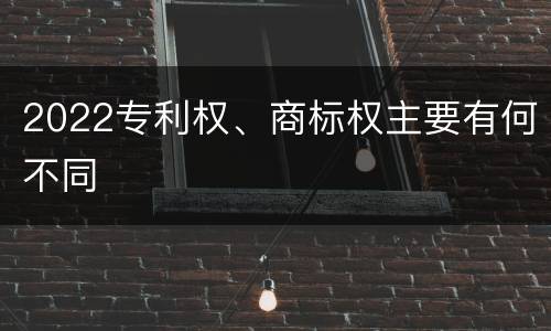 2022专利权、商标权主要有何不同