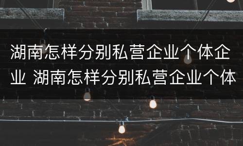 湖南怎样分别私营企业个体企业 湖南怎样分别私营企业个体企业和公司