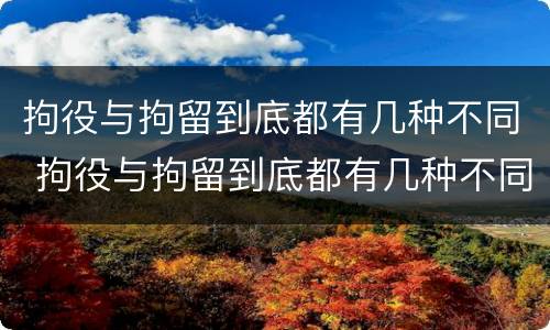 拘役与拘留到底都有几种不同 拘役与拘留到底都有几种不同之处
