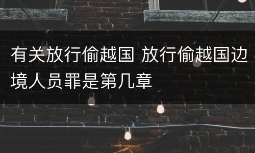 有关放行偷越国 放行偷越国边境人员罪是第几章